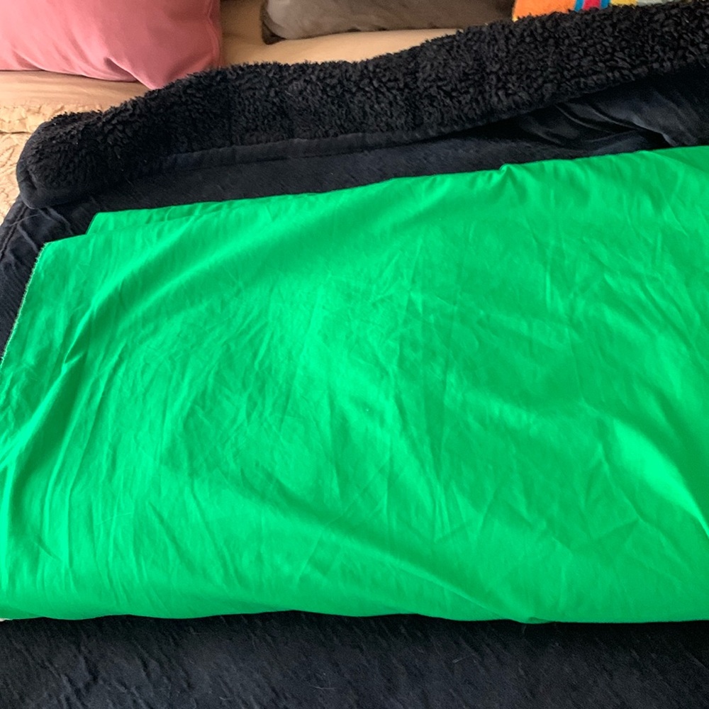 Green screen 9’ wide x 10’ length with rope at top to hang.